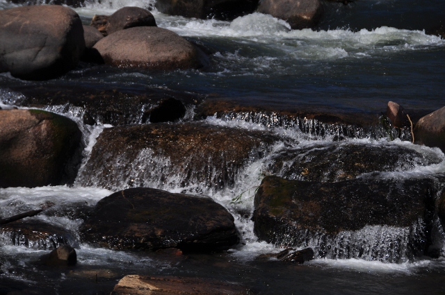 the Animas River, Durango